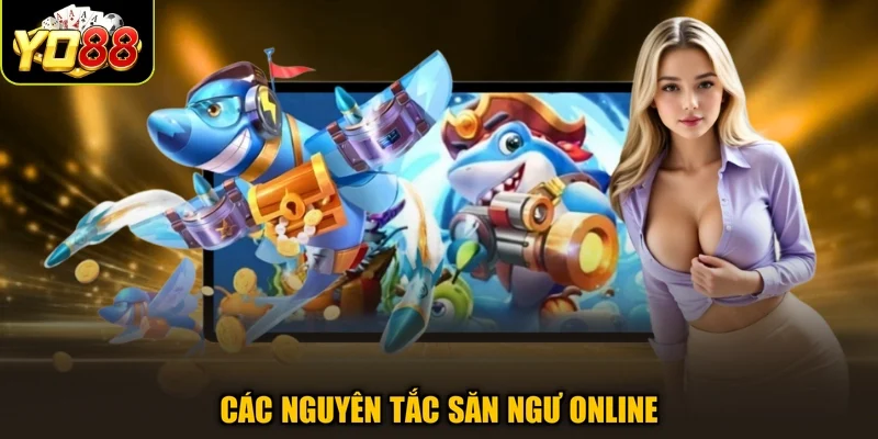 Các nguyên tắc săn ngư online