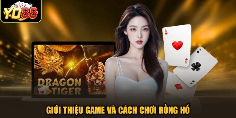 Giới thiệu game và cách chơi Rồng Hổ